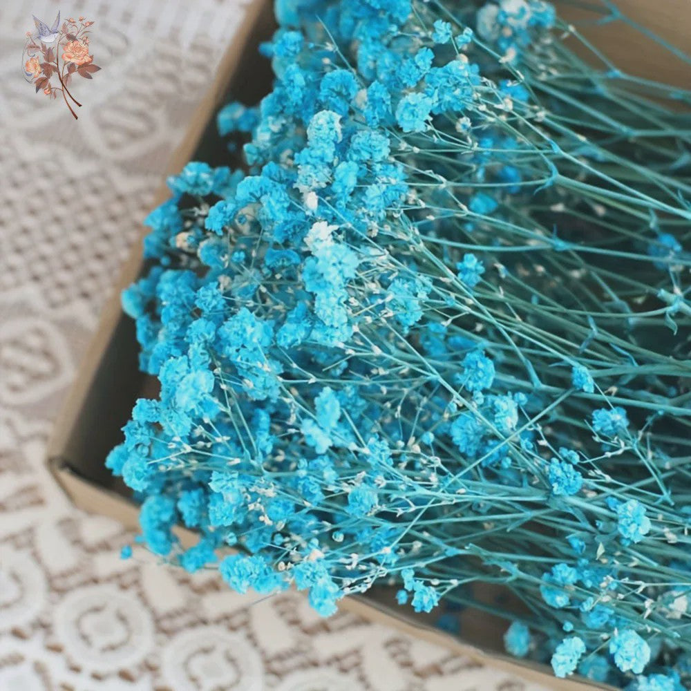 Gedroogde Mini Gipsenkruid Bloemen (100 stuks) - DIY Decoratie & Cadeau