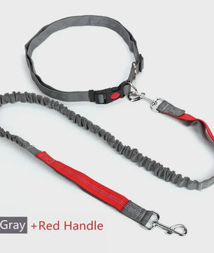 Handsfree Hondenriem met Verstelbare Tailleband - Ideaal voor Hardlopen, Joggen & Fietsen met Grote Honden