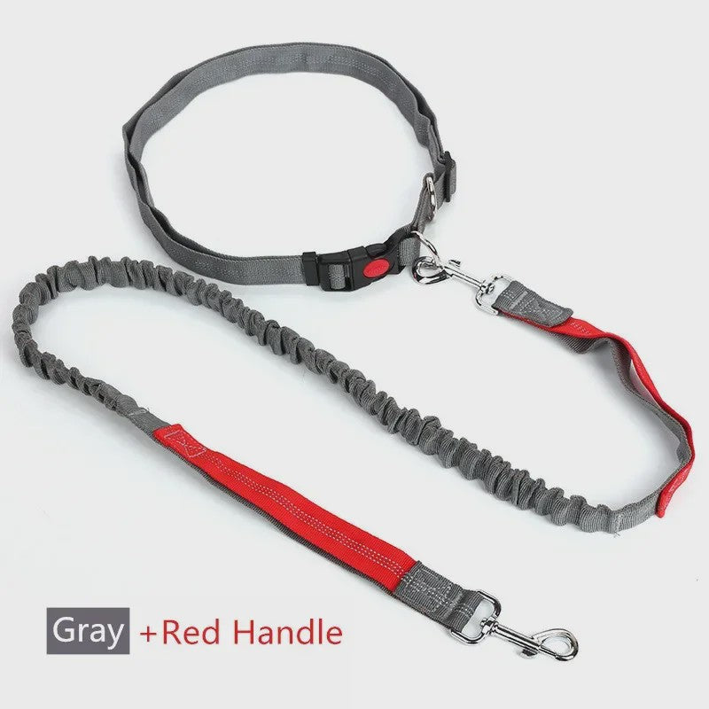 Handsfree Hondenriem met Verstelbare Tailleband - Ideaal voor Hardlopen, Joggen & Fietsen met Grote Honden