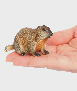 Realistische Marmot Beeldjes - PVC Sierfiguren voor Huisdecoratie