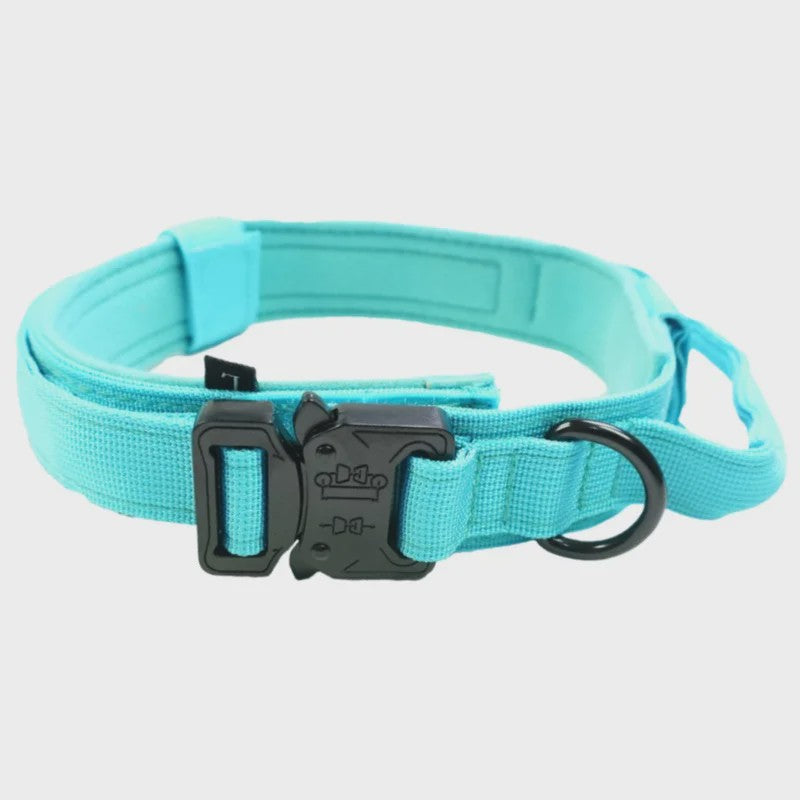 Sterke Tactische Hondenhalsband met Metalen Gesp - Nylon, Verstelbaar voor Training & Dagelijks Gebruik