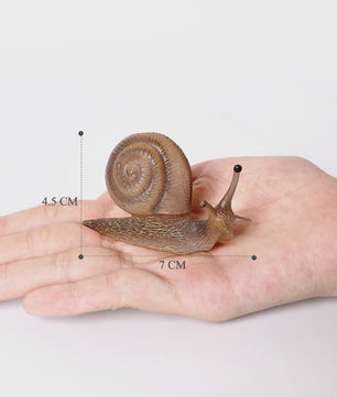 Realistische Insecten & Slakken Modellen - Educatief Speelgoed, Verzamelen & Decoratie
