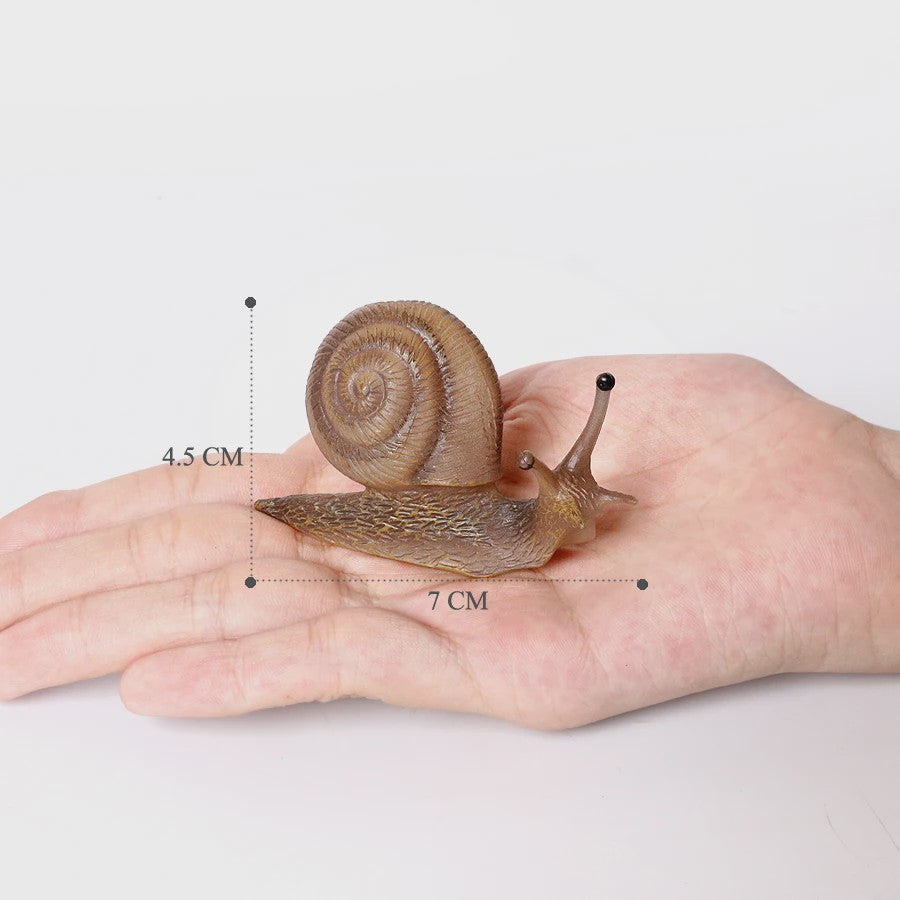 Realistische Insecten & Slakken Modellen - Educatief Speelgoed, Verzamelen & Decoratie