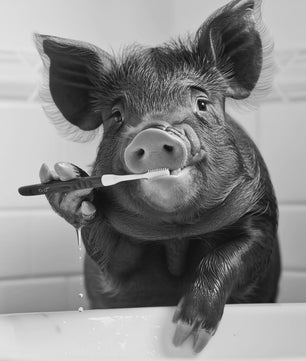 Grappige Zwart-Wit Canvas Poster: Schattige Dieren Poetsen Tanden - Muurdecoratie