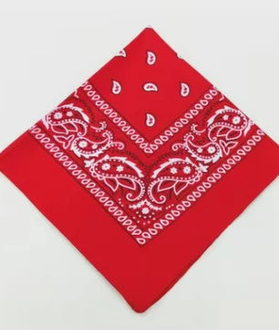 Modieuze Katoenen Bandana Sjaal 54x54cm - Paisley Print voor Dames & Heren