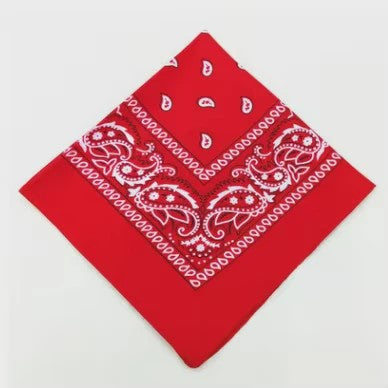 Modieuze Katoenen Bandana Sjaal 54x54cm - Paisley Print voor Dames & Heren