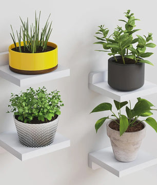 4x Kleine Drijvende Planken voor Wandmontage - 5 Inch Houten Display Ledges - Decoratie voor Elke Kamer