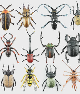 Toymany 12-delige Insecten Speelgoed Set - Realistische Mini Figuren voor Kinderen, Cadeau & Taartdecoratie