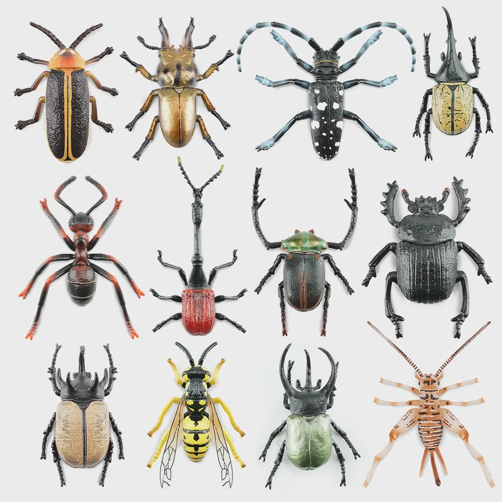 Toymany 12-delige Insecten Speelgoed Set - Realistische Mini Figuren voor Kinderen, Cadeau & Taartdecoratie
