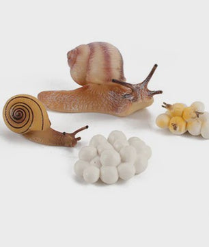 Educatieve Levenscyclus Figuren: Snail, Mantis & Sprinkhaan