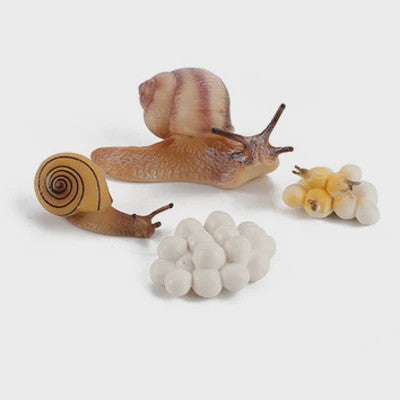 Educatieve Levenscyclus Figuren: Snail, Mantis & Sprinkhaan