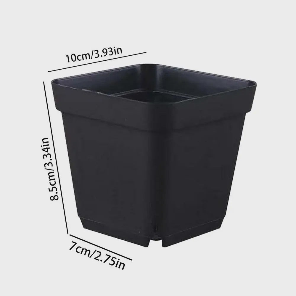 50 Stuks Vierkante Plastic Kweekpotjes voor Zaailingen en Planten