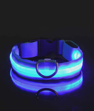 LED Hondenhalsband - Oplaadbaar en Verstelbaar voor Maximale Zichtbaarheid in het Donker