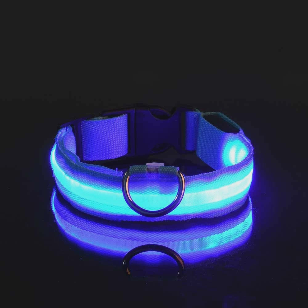 LED Hondenhalsband - Oplaadbaar en Verstelbaar voor Maximale Zichtbaarheid in het Donker