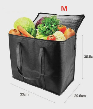 Extra Grote Koeltas 31L - Ideaal voor Lunch, Camping, Picknick & Boodschappen