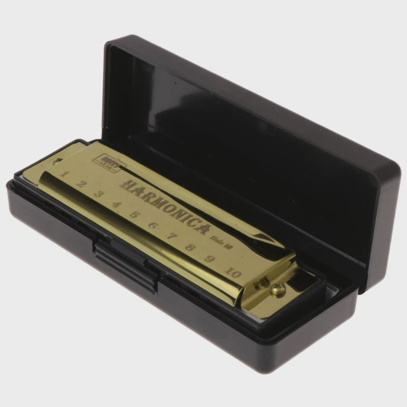 Diatonische Mondharmonica in C - 10 Gaten - Ideaal voor Beginners & Kinderen - Inclusief Hoesje