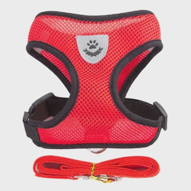 Verstelbaar Katten Tuigje met Lijn - Ademend Mesh Vest voor Kleine Honden & Katten