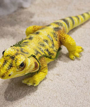 Zachte Baardagaam Pluche Speelgoed - 50cm Realistisch Reptiel Knuffel, Cadeau & Decoratie