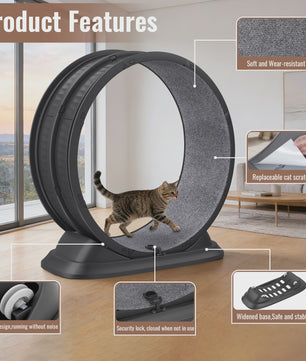 Groot Kattenloopwiel 31.5 inch - Stil & Veilig - Afneembaar Tapijt - Indoor Fitness Loopband voor Katten