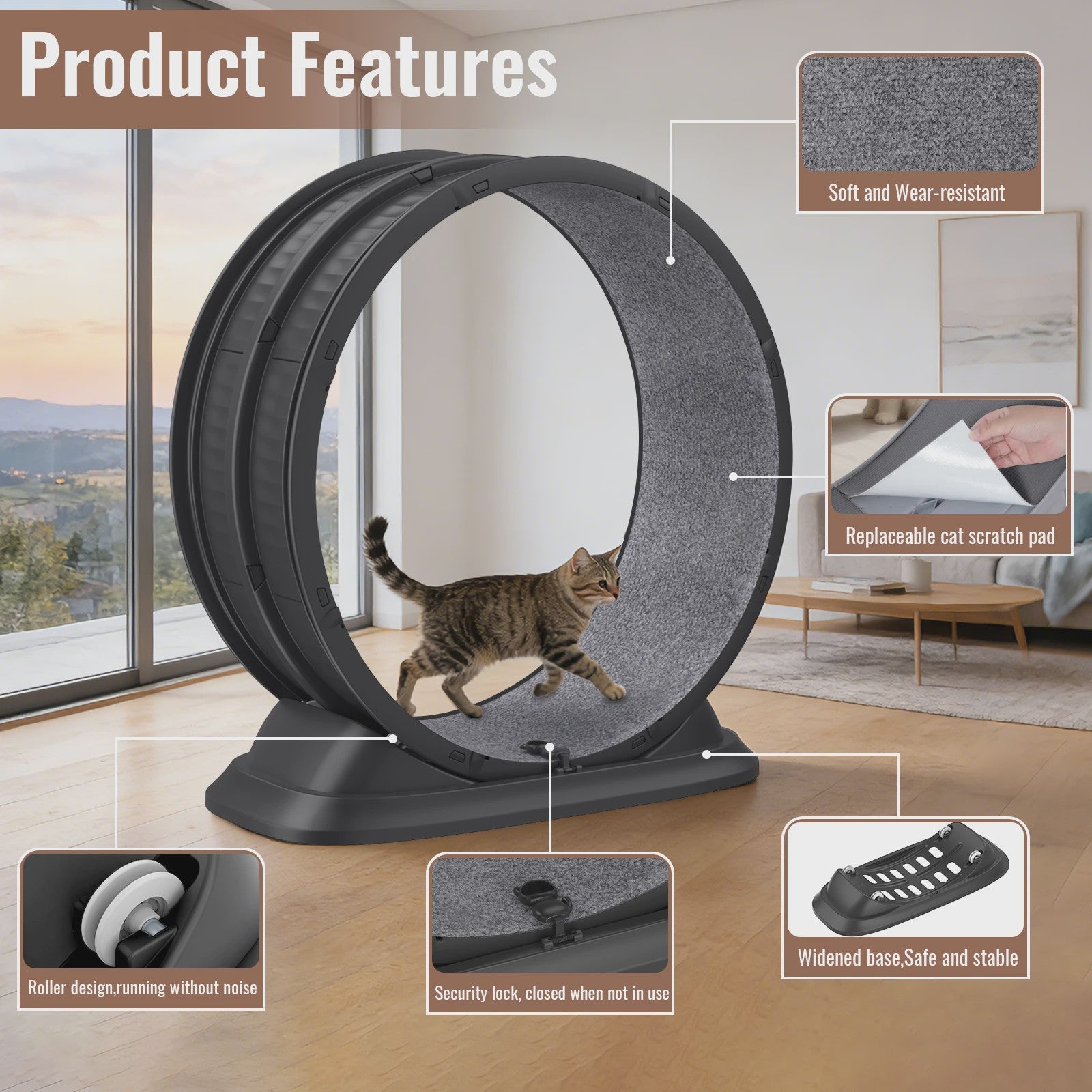Groot Kattenloopwiel 31.5 inch - Stil & Veilig - Afneembaar Tapijt - Indoor Fitness Loopband voor Katten