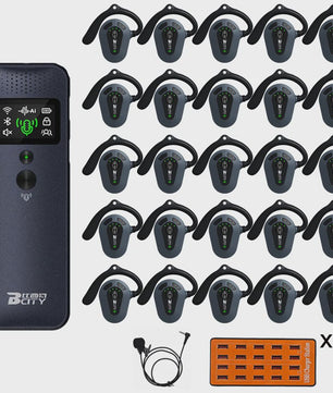 Professioneel 2.4GHz Draadloos Tour Guide Systeem met Groene Laser Pointer en Audio Headset