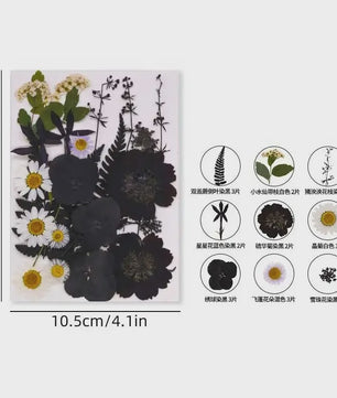 Set Gedroogde Bloemen & Bladeren (16-19 Stuks) - Natuurlijk & Realistisch