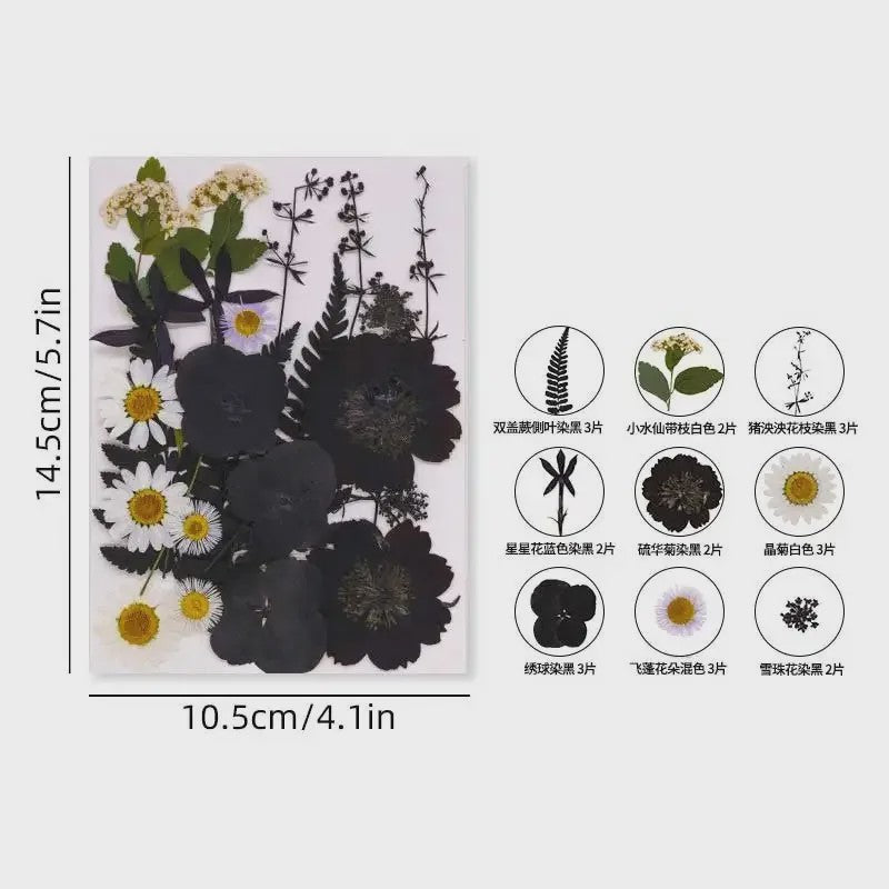 Set Gedroogde Bloemen & Bladeren (16-19 Stuks) - Natuurlijk & Realistisch