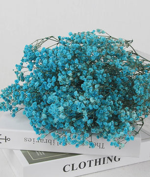 60g Gedroogde Baby's Breath Bloemboeket - Natuurlijke Gypsophila Decoratie