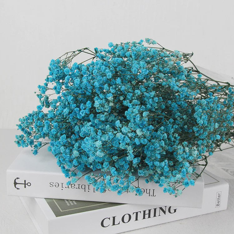 60g Gedroogde Baby's Breath Bloemboeket - Natuurlijke Gypsophila Decoratie