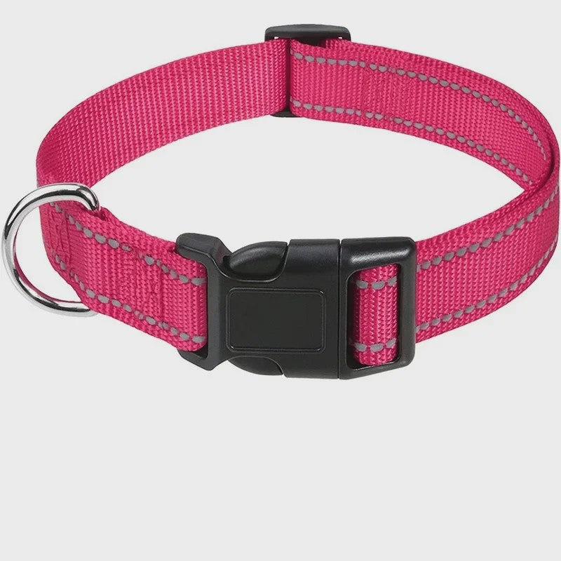 Reflecterende Hondenhalsband - Verstelbaar Nylon, Veilig en Duurzaam