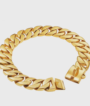 Gouden Hondenketting 32mm RVS - Stoere Halsband voor Grote Rassen