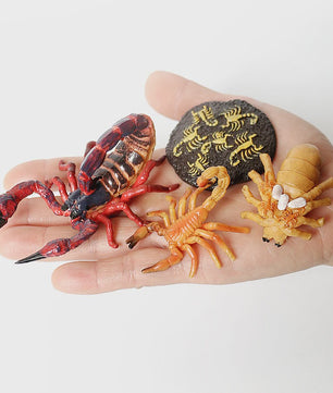 Montessori Levenscyclus Insecten Speelgoed: Spin, Duizendpoot, Schorpioen & Mier