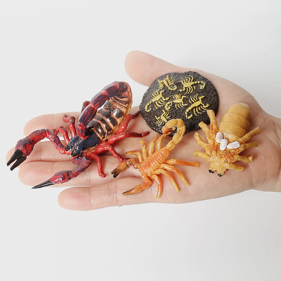 Montessori Levenscyclus Insecten Speelgoed: Spin, Duizendpoot, Schorpioen & Mier