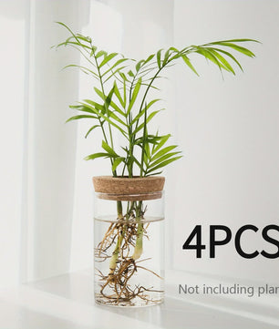 Glazen Hydroponics Vaas - Plantenstekken Station & Decoratie