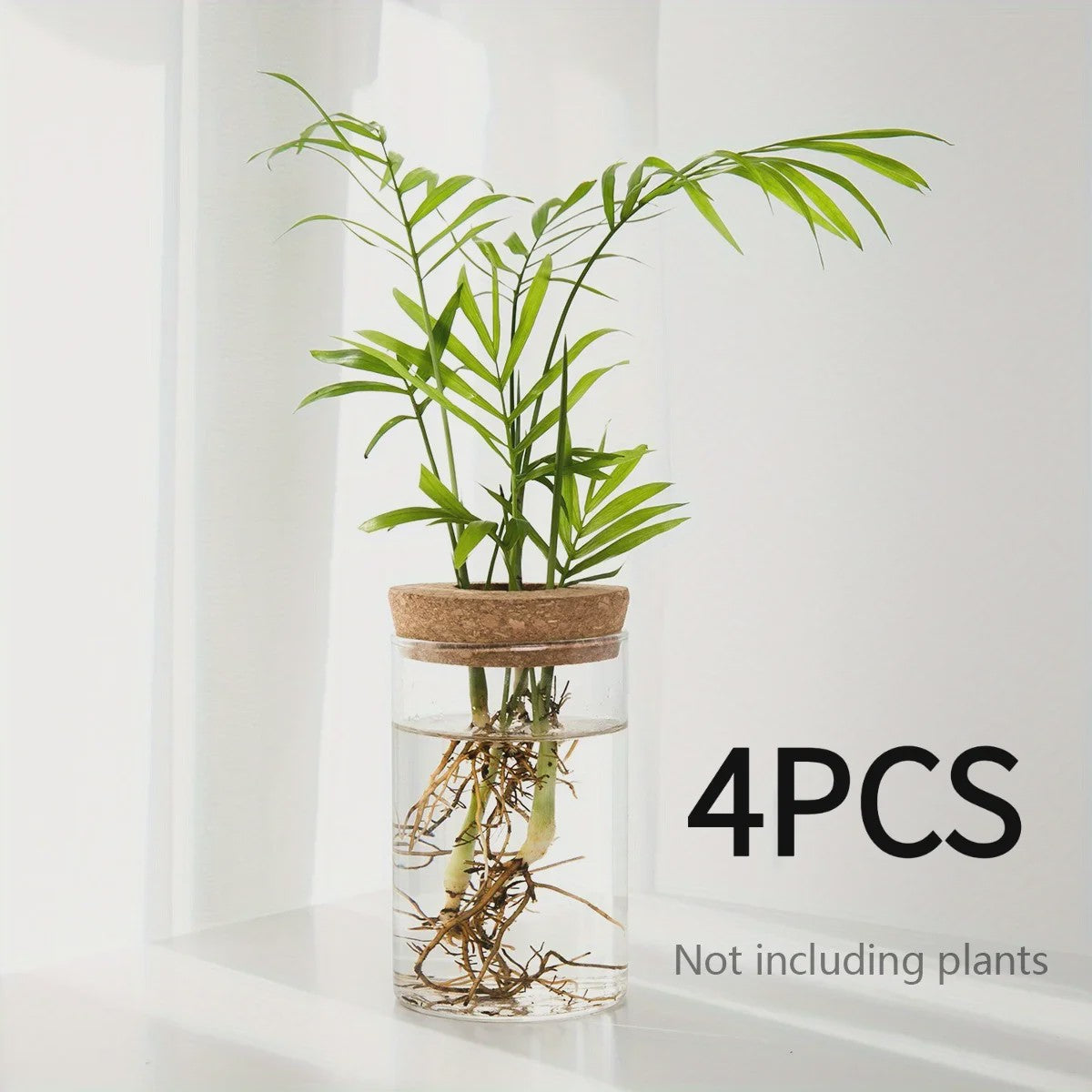 Glazen Hydroponics Vaas - Plantenstekken Station & Decoratie