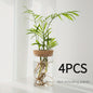 Glazen Hydroponics Vaas - Plantenstekken Station & Decoratie