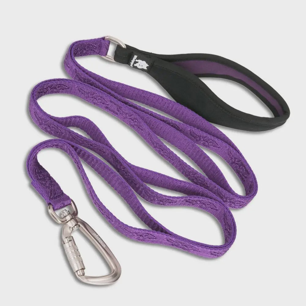 TRUELOVE Hondenlijn Nylon met Karabijnhaak - Sterk, Comfortabel & Veilig voor Reizen