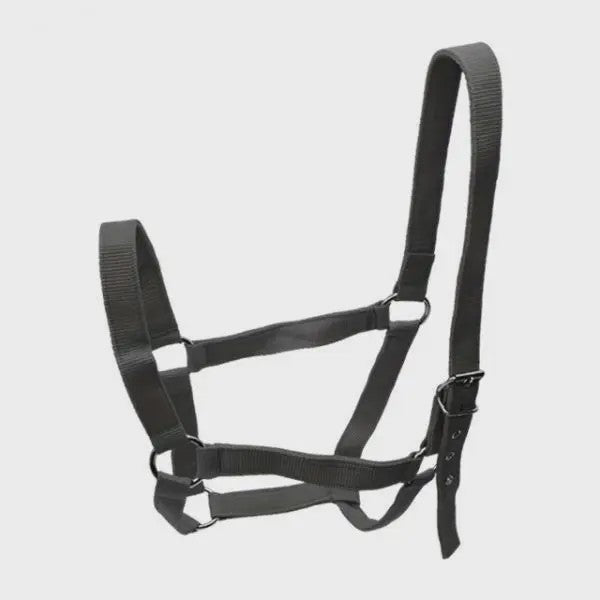 Verstelbaar Paardenhalster voor Training en Rijden - Duurzaam Nylon