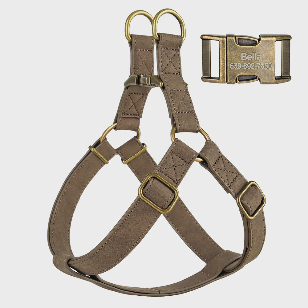 Luxe PU Leder Hondentuig met Leash en Gepersonaliseerde ID Gesp - Duurzaam voor Kleine & Middelgrote Honden
