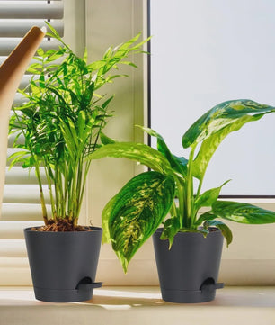 Set van 6 Zelfwaterende Plantenpotten met Onderzetter - Ideaal voor Binnen & Buiten