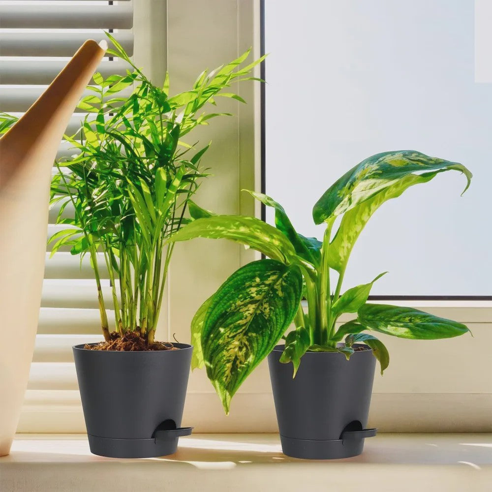 Set van 6 Zelfwaterende Plantenpotten met Onderzetter - Ideaal voor Binnen & Buiten
