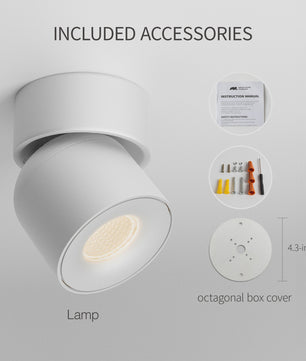 Aisilan LED Plafondspot Draaibaar & Kantelbaar - Oppervlakte Montage - 220V/110V
