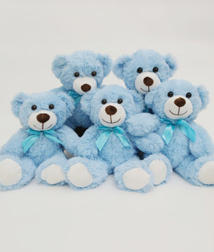 Set van 5 Pluche Teddyberen - 35cm - Knuffel Cadeau voor Kinderen & Vriendinnen