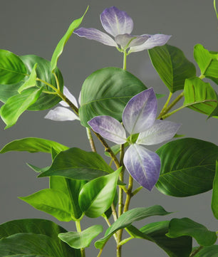 Grote Kunstboom Ficus Magnolia Banyan Nandina - 82-144cm