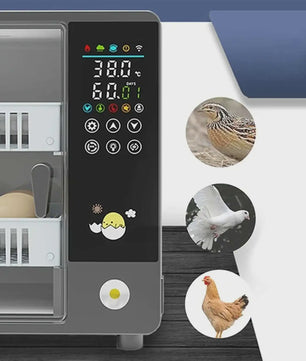 Volautomatische Broedmachine voor 24 Eieren met Lade-Type Automatische Draaier en Touchscreen