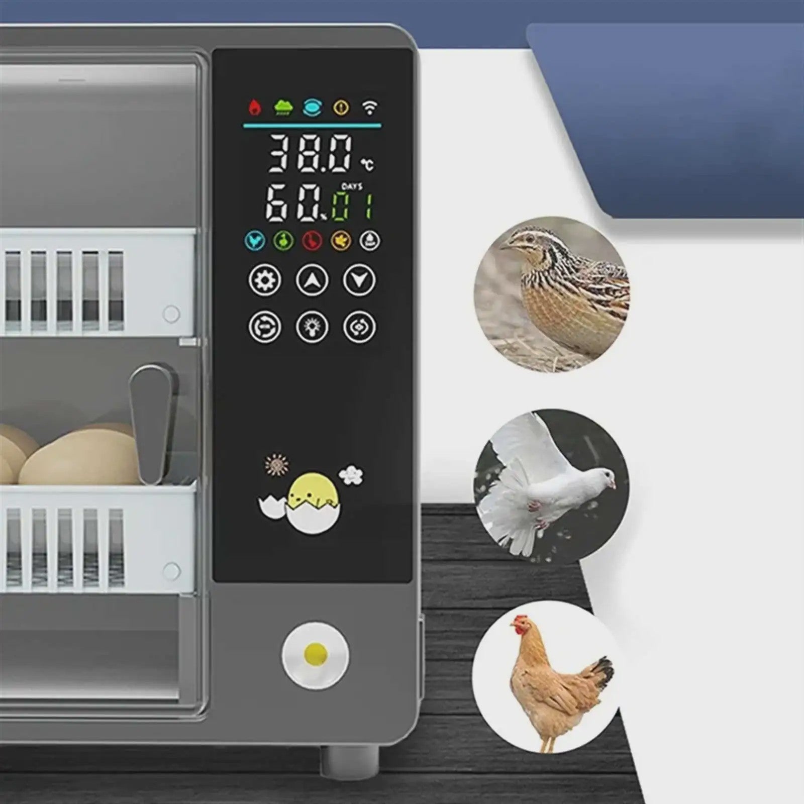 Volautomatische Broedmachine voor 24 Eieren met Lade-Type Automatische Draaier en Touchscreen