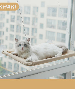 Hangmat voor Katten: Zonovergoten Raamzitje met Sterke Draagkracht