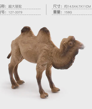 Realistische Dromedaris & Baktriaanse Kameel Figuren - Desktop Ornament