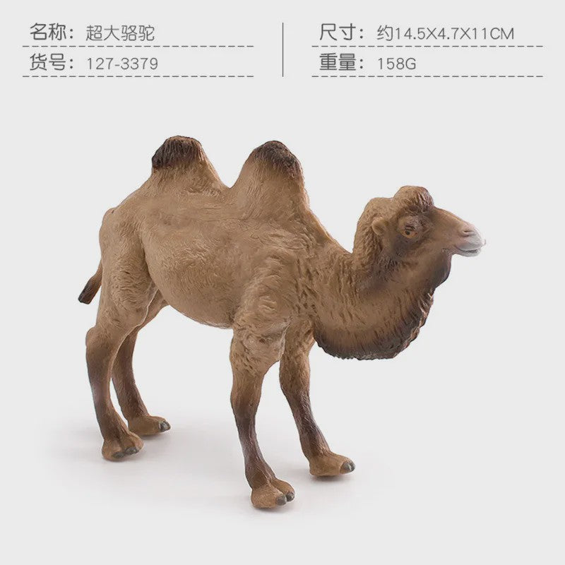 Realistische Dromedaris & Baktriaanse Kameel Figuren - Desktop Ornament