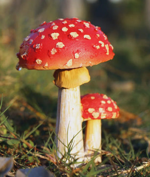 Set van Decoratieve Paddenstoelen Beeldjes - Hars Tuindecoratie Ornamenten